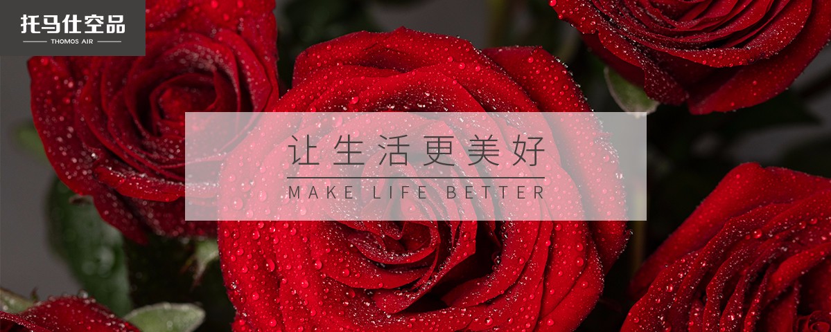 新风系统|