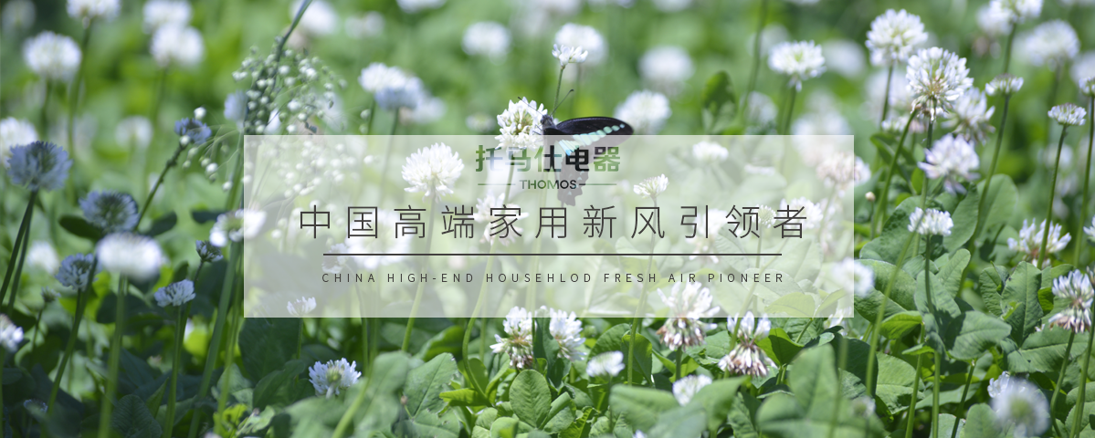 1774920424355050.png 26.3.31.png