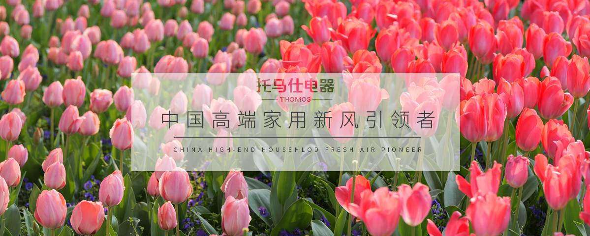 1774580196933676.png 26.3.27.png